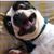 Gerrell Wilson's profile image
