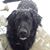 Nancy Bradbury's profile image