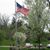 Cynthia Trowbridge's profile image