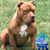 Aaron Chumbley's profile image