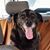 Judy Majeski's profile image