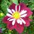 Yvonne Stainbrook's profile image