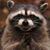 Alex Castro's profile image