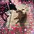 Christine Peterson's profile image