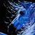 Rita Immoor's profile image