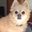 Kimberly Reynard's profile image