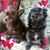 Christina Sahagun's profile image