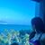 Trang Luu's profile image