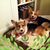 Judith Thomas's profile image