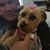 Cheryl Doherty's profile image