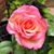LuDonna Stone's profile image