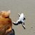 Tom Warshauer's profile image