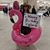Anna Champagne's profile image