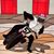 Michael S. Helm's profile image