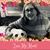 Jeri Snyder's profile image