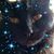 Karen Worley's profile image