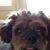 Linda Stevens's profile image