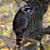 Jeff Welborn's profile image