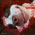 Jenny Moore Thomas's profile image
