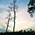 Kathy Meusborn's profile image
