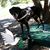 Cindy Benshoff's profile image