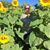 Marilyn Rhinehart's profile image