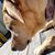 Deb Garrick's profile image