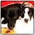 Jeffrey Noveroske-Tritten's profile image