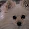 Anne T. Christ's profile image