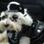 Shirley Cope's profile image