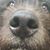 RJ Love's profile image