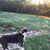 Kathy C Wallace's profile image