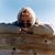 Barbara Bruce Hinkle's profile image