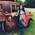 Shelia Skipper Amato's profile image