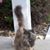 Nathalie Gonzalez Paulson's profile image