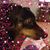 Julie Fondurulia Niemi's profile image