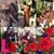 Sandra Jones Ayers Wilson's profile image