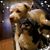 Sheryl Quick-Robbins's profile image