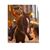 Elaine Devora Walker's profile image