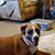 Vickey Jessee's profile image