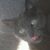 Jennifer Jandt's profile image