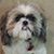 Dave Ragan's profile image
