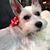 Pam Dunford's profile image