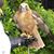 Kelley Vincent's profile image