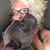 Liz Friedman's profile image