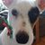 Denine Diece's profile image