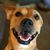 Lorrie Watson Shivener's profile image