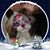 Mayra Garcia's profile image
