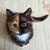 Nadine Baer's profile image
