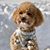 Frances Lee Carlson's profile image